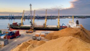 case_erkaya_balt_control